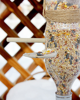 homemade-bird-feeder_00.jpg