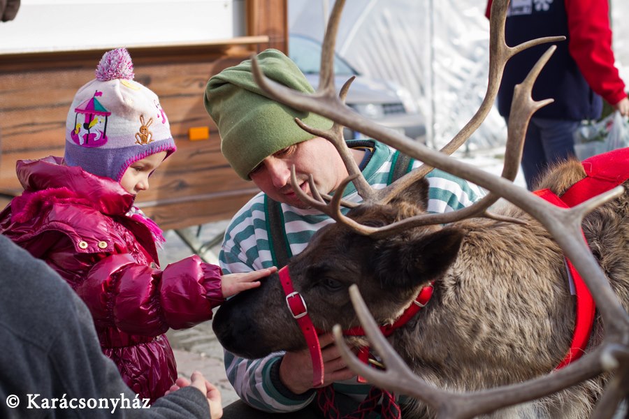 mikulas_renszarvas_gyerekprogram_karacsonyhaz_2013_godollo4.jpg