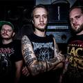 Az okkult bája - Apey and the Pea valóságkritika