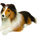 Lassie végre az otthonodba kerül