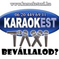 elkészült a karaoketaxi honlap