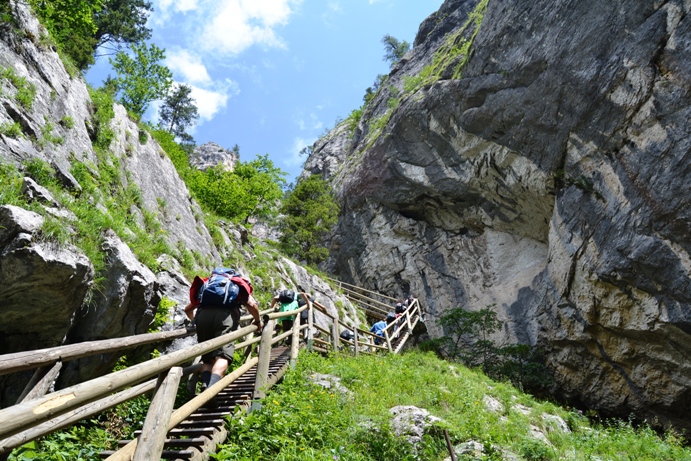 DSC_0092kicsi.JPG