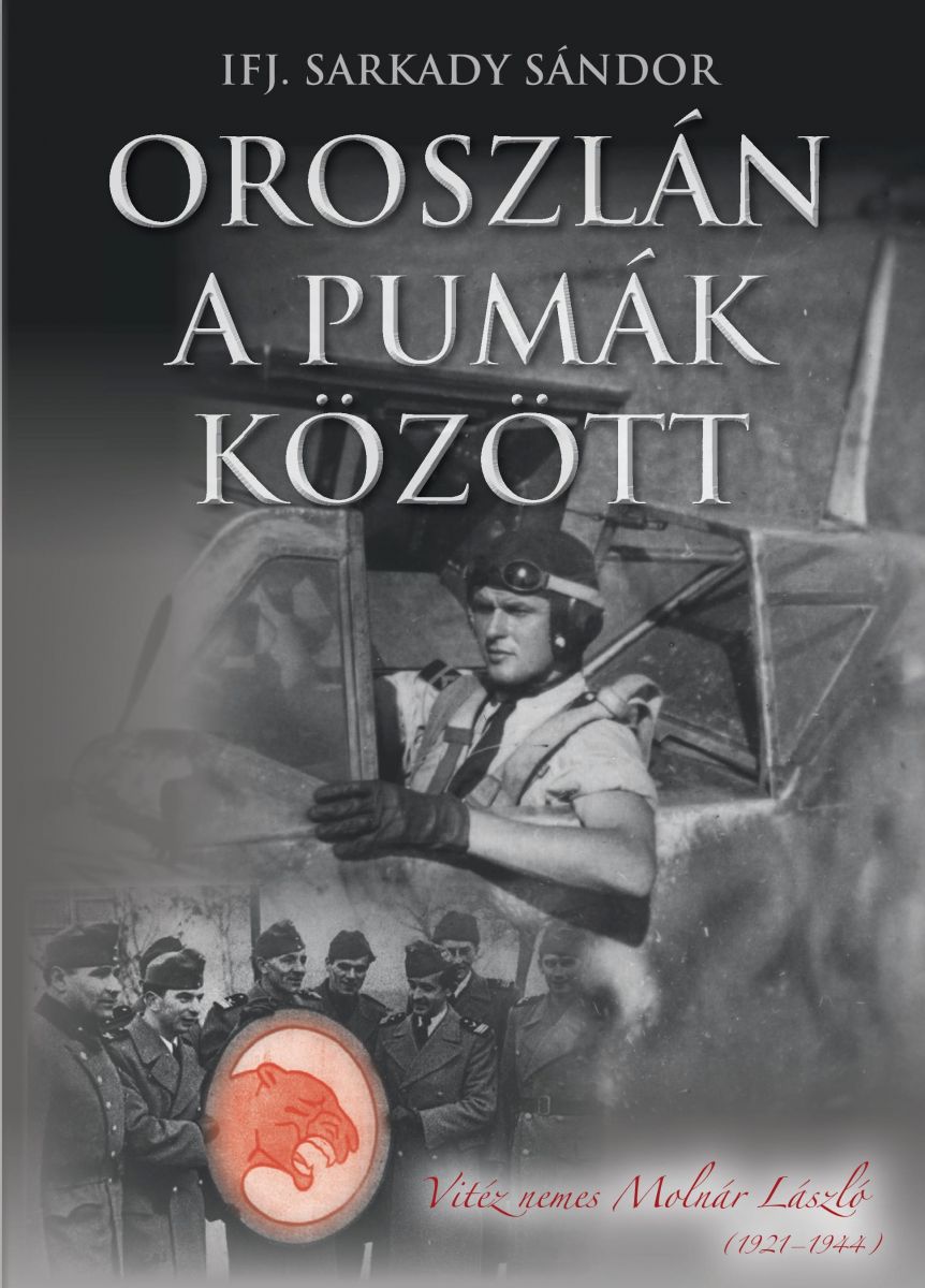 blog343-oroszlan_a_pumak_kozott_1.jpg