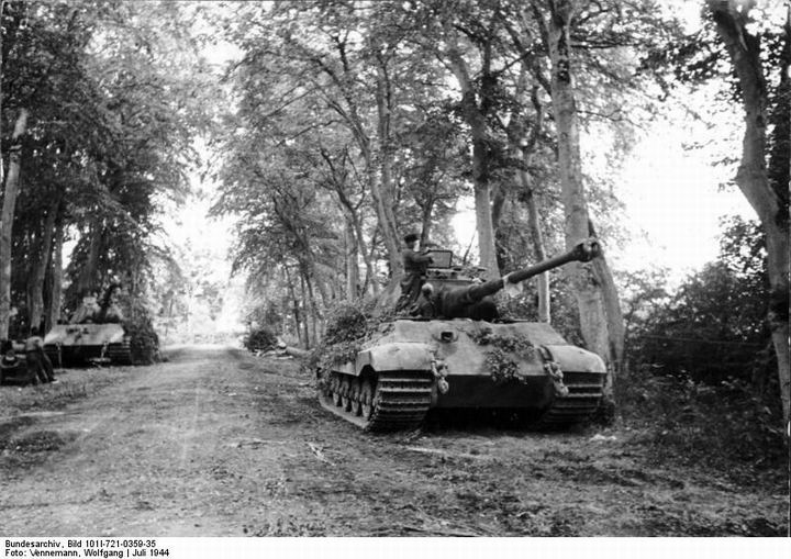 blog72-05 Camouflaged Tiger IIs of the 503rd in France, July 1944.jpg