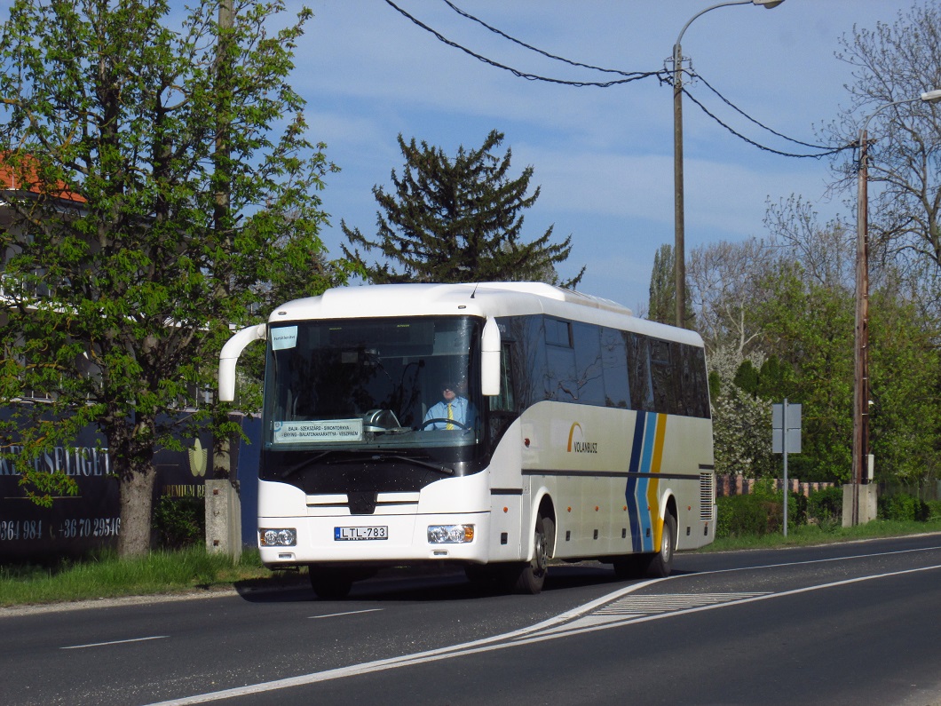 ltl-783.jpg