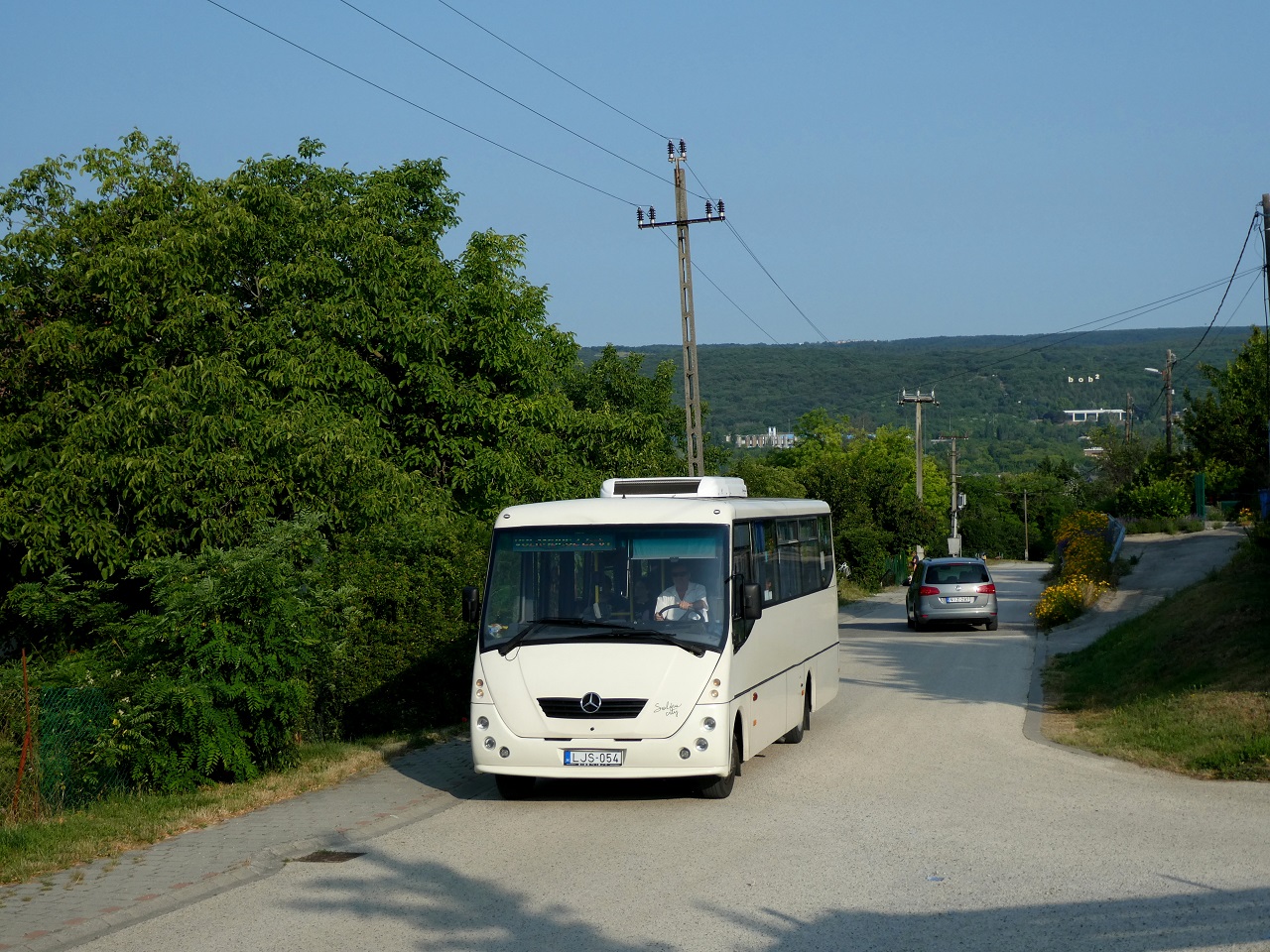 p1100562.JPG