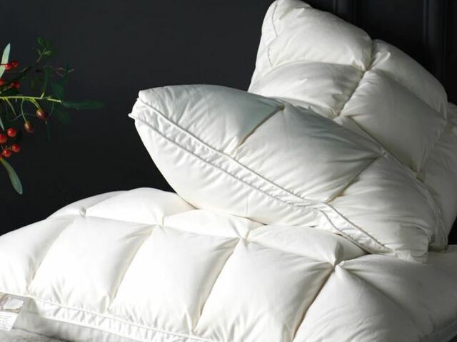 Why do Goose down comforters and pillows are so great?