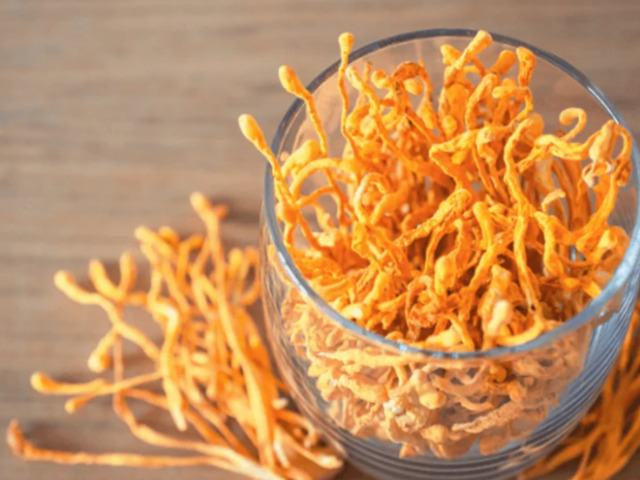 Cordyceps vagy más gyógygombák? Hogyan válassz?