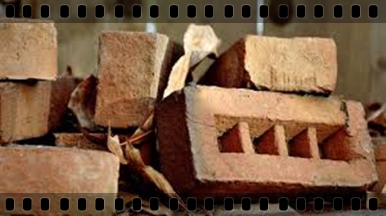 images_1_1.jpg