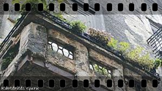 images_4.jpg