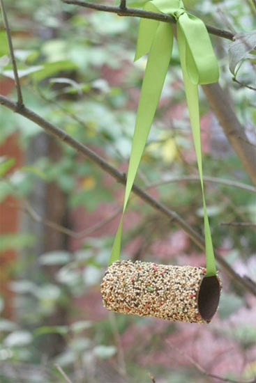 Toilet_Roll_Bird_Feeder.jpg