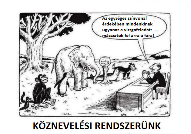 koznevelesi_rendszerunk_karvalyokfoldje_blog_hu.png