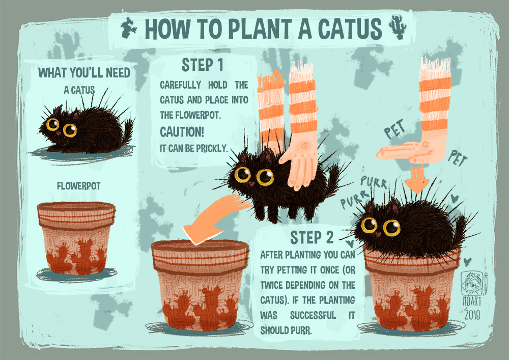 catus-plant.jpg