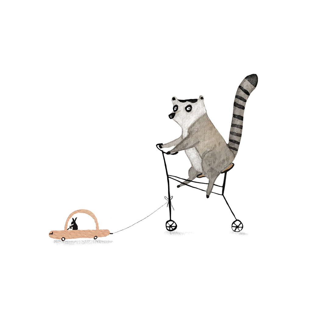 lemur_on_bike.jpg