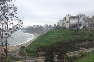 Just chilling in Lima