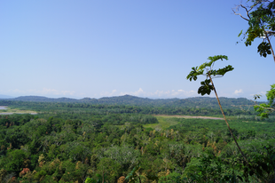 Our Amazon Jungle adventure in Bolivia