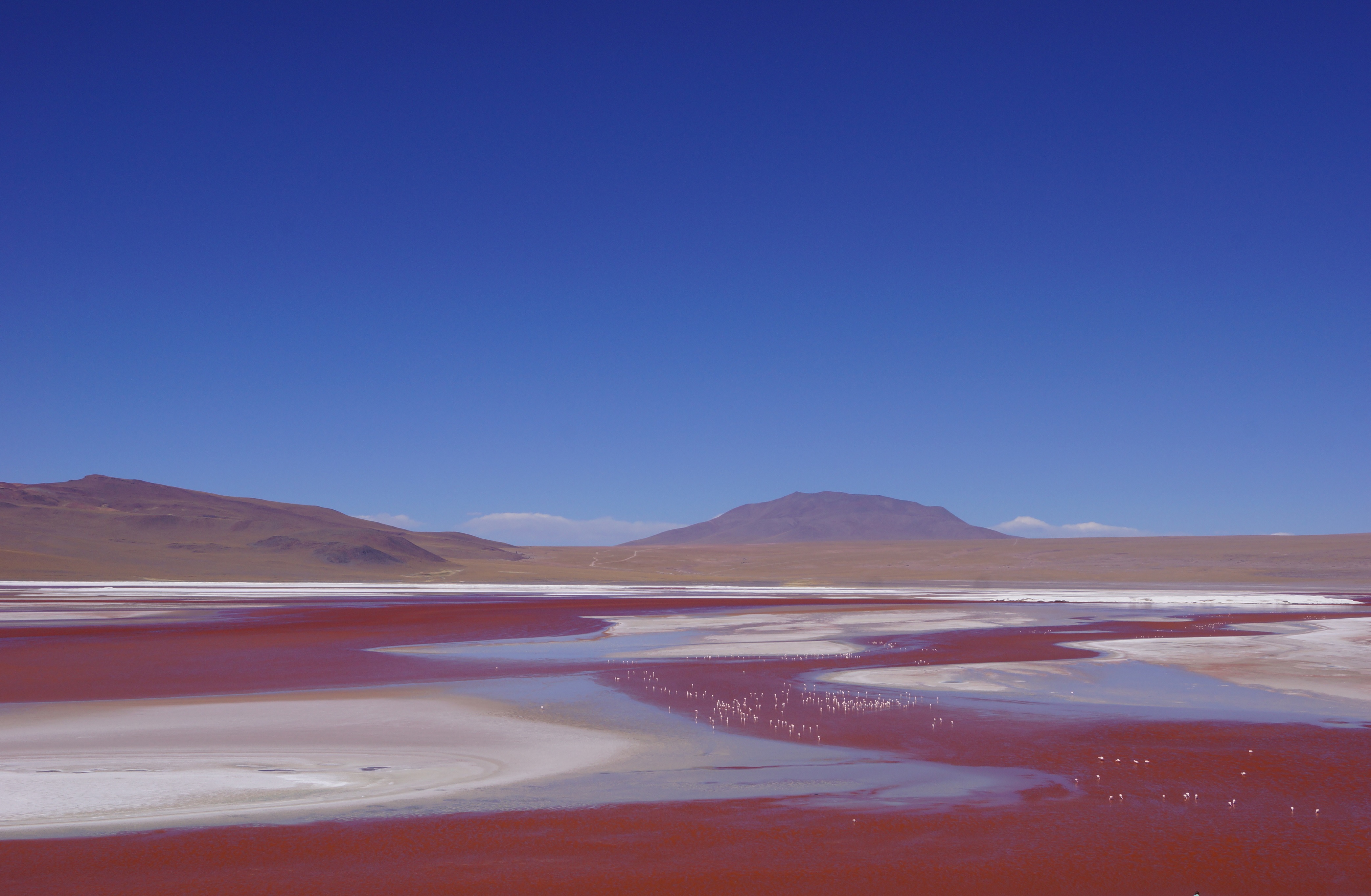 laguna_colorada.jpg