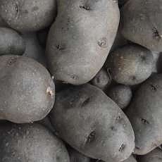 krumpli01.jpg