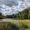 Tisza menti kiruccanás és Kecskemét felfedezése