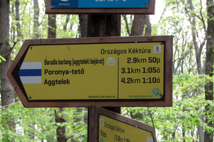 Karsztközeli élmények, avagy túra az Aggteleki-karszt és a Borsodi-dombság tájain - 2. nap