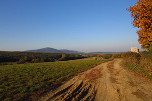 Ősagárdtól Romhányig