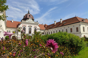 Egy nap Gödöllőn