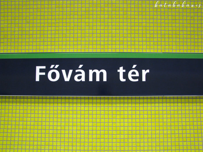 fovam-ter-_119.jpg