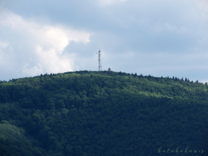 img_5954_1.jpg