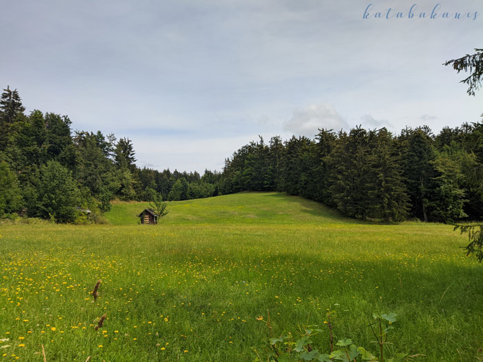 hohe-wand-_75.jpg