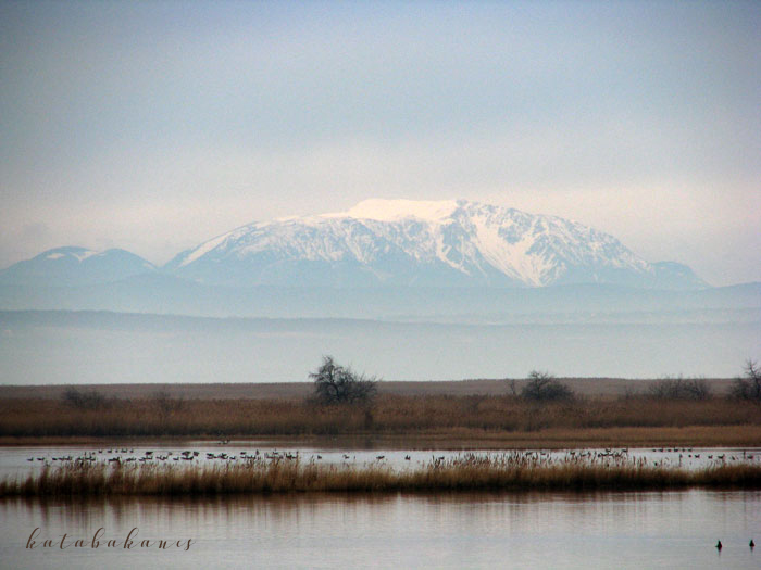 A távolban feltűnik a Schneeberg