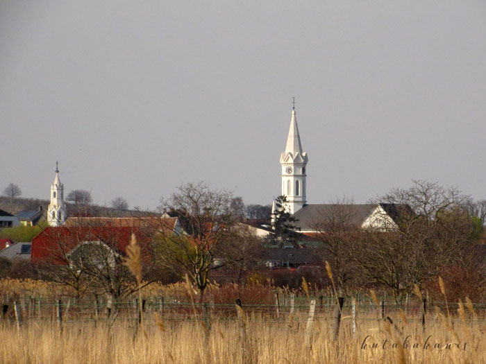 Mörbisch Fertőrákosról nézve