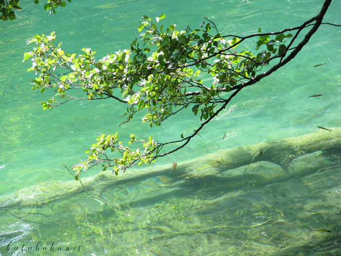 Plitvicei Tavak Nemzeti Park