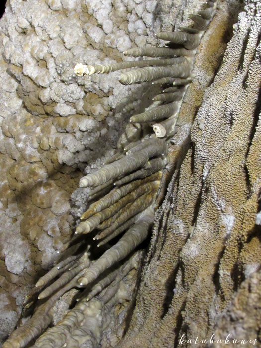 A bódvarákói Rákóczi-barlang cseppkövei