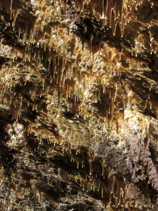 A Csipketerem pici cseppkövei (Aggteleki cseppkőbarlang)