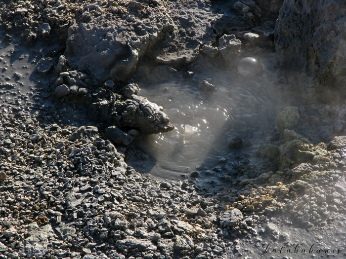 geotermalis-mezo-_34.jpg