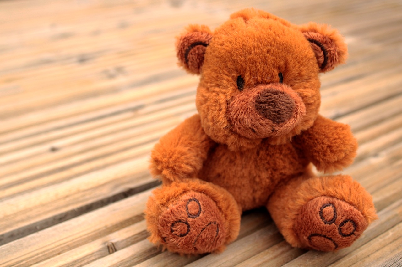teddy-bear-4231582_1280.jpg