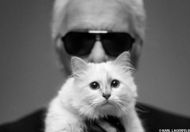 choupette-lagerfeld-choupette.jpg