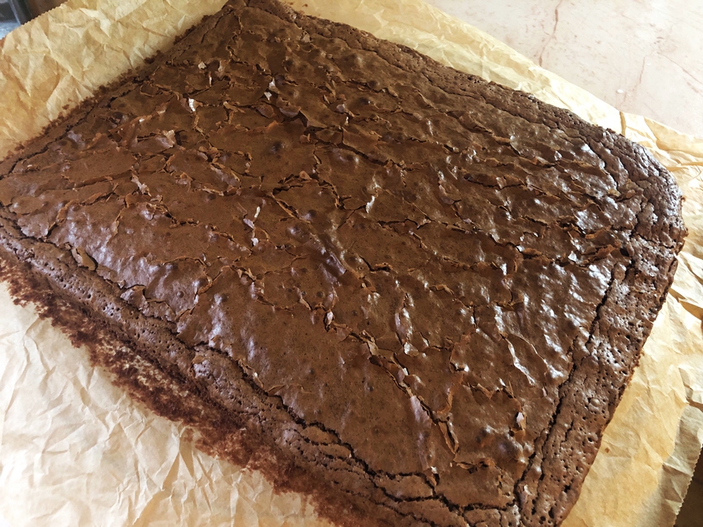 brownielap.jpg