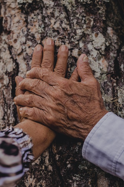 hand-7566739_640.jpg