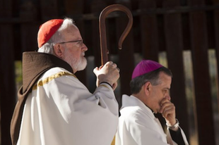 O'Malley bíboros: A pápa szavai "nagy fájdalom forrásai" a szexuális visszaélések áldozatai számára