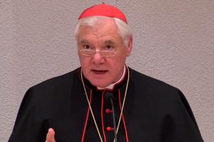Gerhard Müller bíboros: "Egyetlen püspöknek sincs joga megtiltani a nyilvános miséket."