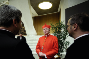 Eijk bíboros: Ferenc pápa válasza a német püspököknek "teljességgel érthetetlen"
