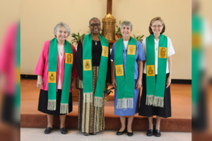 Kihalnak a "progresszív" női szerzetesrendek az Egyesült Államokban