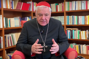 Gerhard Müller bíboros is vitatja Ferenc pápa halálbüntetéssel kapcsolatos tanítását