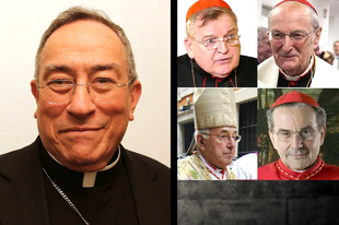 A pápa bíborosi tanácsának koordinátora támadja a négy dubia bíborost