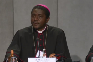 Kameruni püspök: A fiatalok terén Afrika a példa