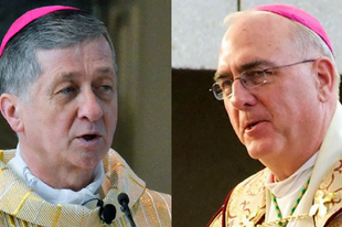 Leszavazta az amerikai püspöki kar "Ferenc pápa püspökét"