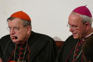 Burke, Schneider, és további püspökök korrekciót közöltek a tanításbeli zavar ellen