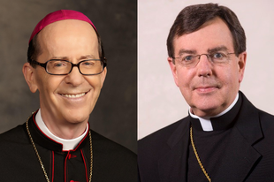 Phoenix püspöke és Detroit érseke is Viganò állításainak kivizsgálását kéri