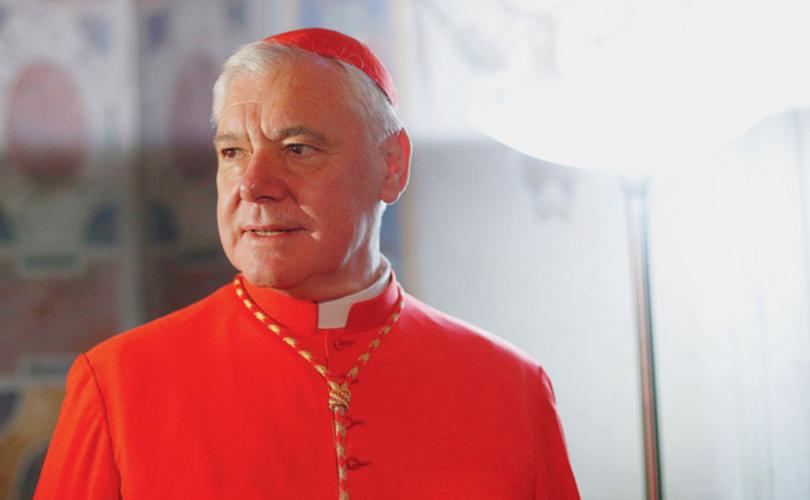 cardinal-muller_810_500_75_s_c1.jpg